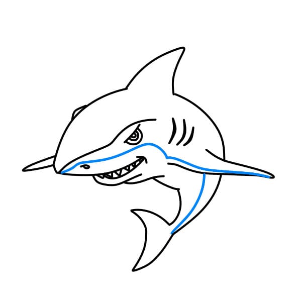 Hướng dẫn vẽ con cá mập đẹp - Bước 9