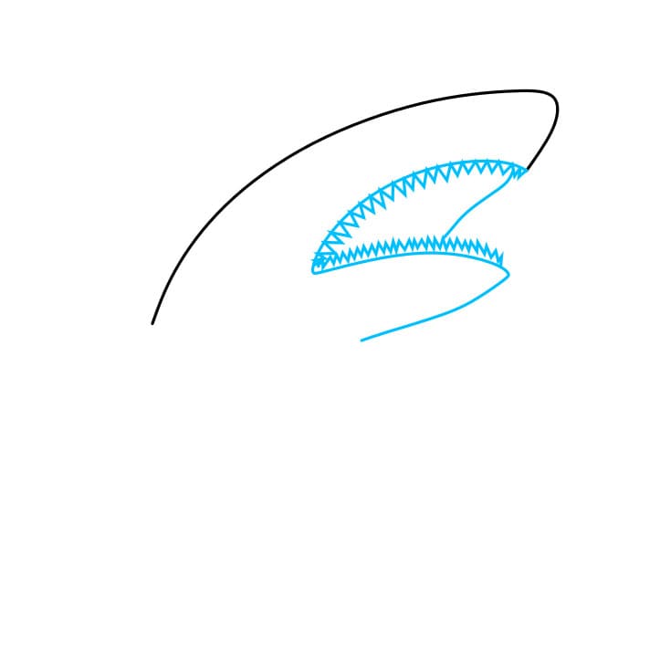 Hướng dẫn cách vẽ con cá mập hung dữ và tàn bạo cho bé - Bước 2