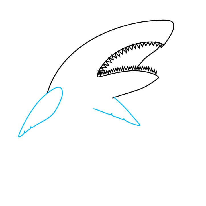 Hướng dẫn cách vẽ con cá mập hung dữ và tàn bạo cho bé - Bước 3