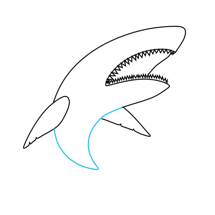 Hướng dẫn cách vẽ con cá mập hung dữ và tàn bạo cho bé - Bước 4