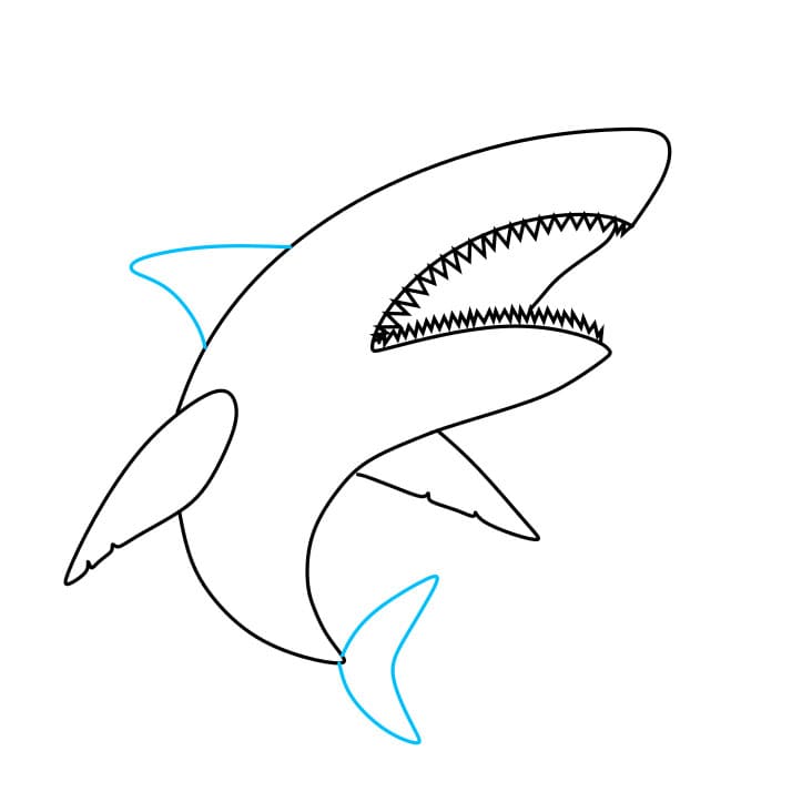 Hướng dẫn cách vẽ con cá mập hung dữ và tàn bạo cho bé - Bước 5