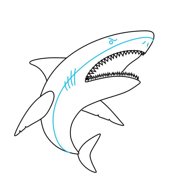 Hướng dẫn cách vẽ con cá mập hung dữ và tàn bạo cho bé - Bước 6