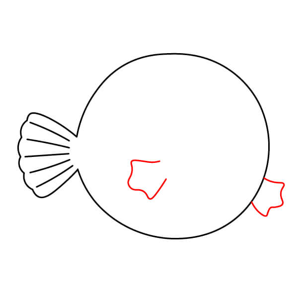 Vẽ tranh cá nóc vui nhộn và đơn giản dành cho trẻ em - Vẽ vây bên