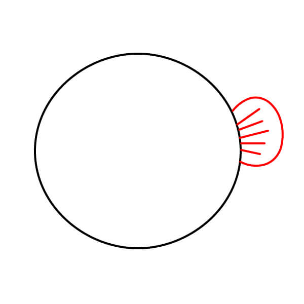 Hướng dẫn dành cho trẻ em: Vẽ một chú cá nóc đáng yêu - Thêm vây đuôi và chi tiết