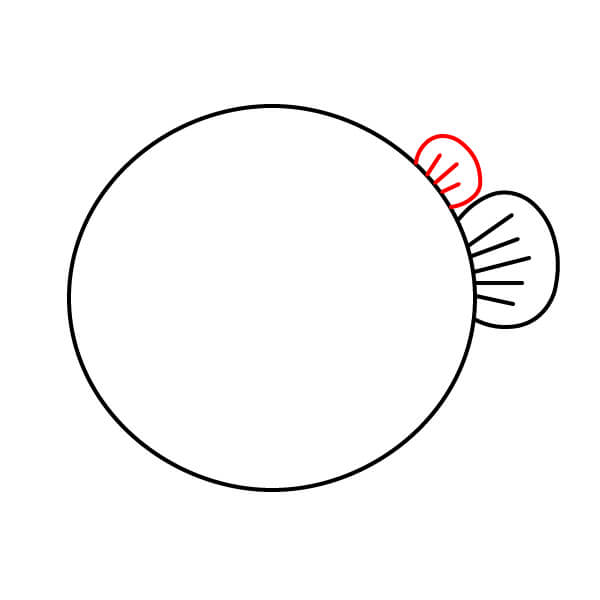 Hướng dẫn dành cho trẻ em: Vẽ một chú cá nóc đáng yêu - Thêm vây ngực phía trên và chi tiết