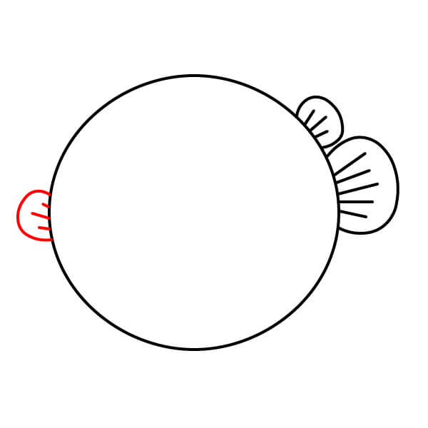 Hướng dẫn dành cho trẻ em: Vẽ một chú cá nóc đáng yêu - Thêm vây ngực bên trái và chi tiết