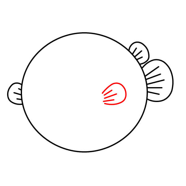 Hướng dẫn dành cho trẻ em: Vẽ một chú cá nóc đáng yêu - Thêm vây ngực bên phải và chi tiết