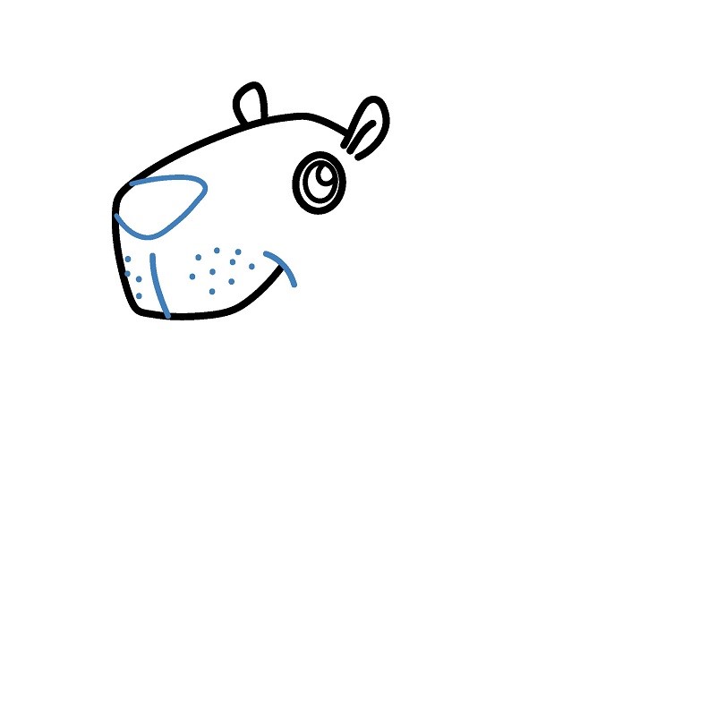 Hướng dẫn vẽ Capybara vui vẻ. - Bước 3