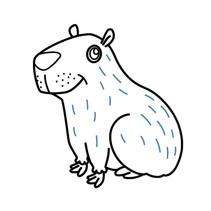 Hướng dẫn vẽ Capybara vui vẻ. - Bước 6