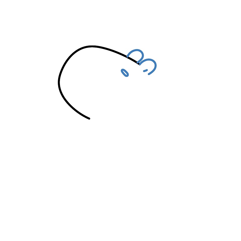 Hướng dẫn vẽ Capybara thư giãn. - Bước 2