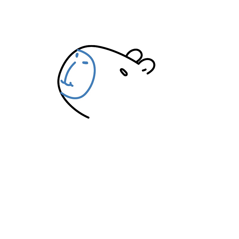 Hướng dẫn vẽ Capybara thư giãn. - Bước 3