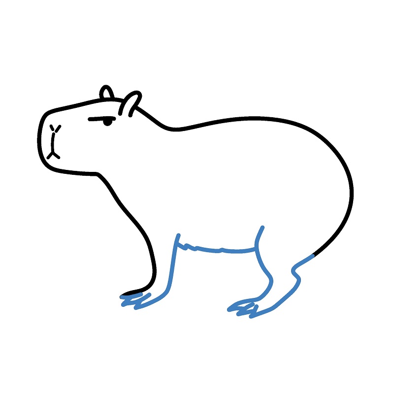 Hướng dẫn vẽ Capybara đơn giản. - Bước 4