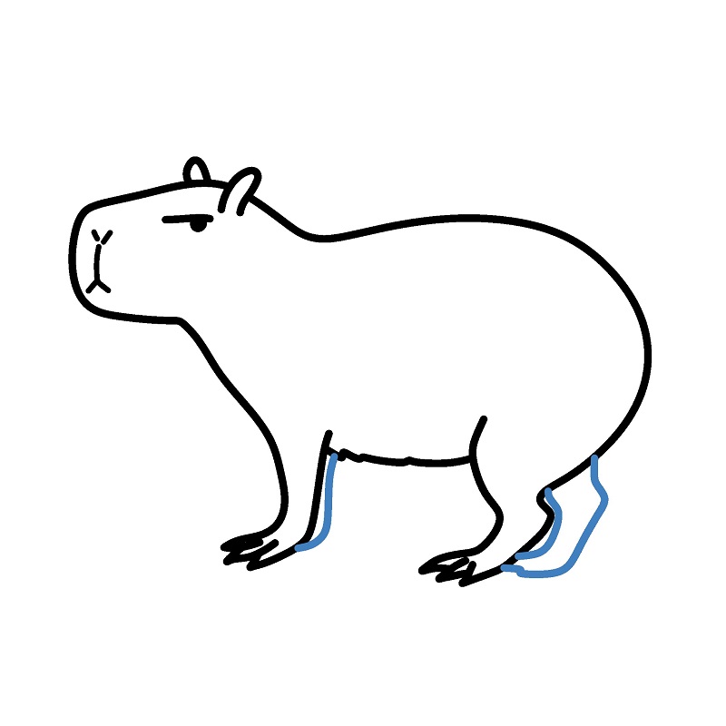 Hướng dẫn vẽ Capybara đơn giản. - Bước 5