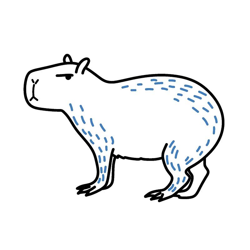 Hướng dẫn vẽ Capybara đơn giản. - Bước 6