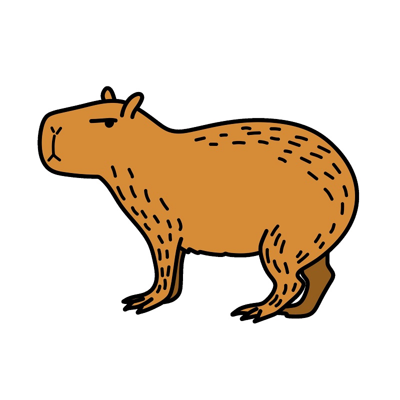 Hướng dẫn vẽ Capybara đơn giản.
