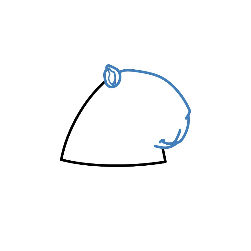 Hướng dẫn vẽ Capybara đang ngâm nước. - Bước 2