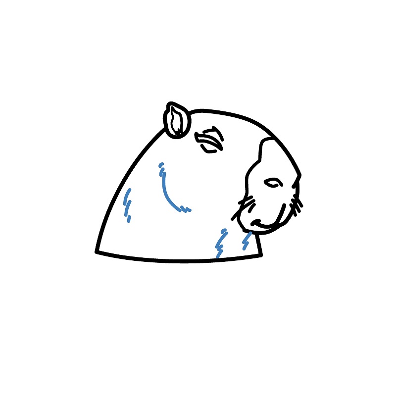 Hướng dẫn vẽ Capybara đang ngâm nước. - Bước 5