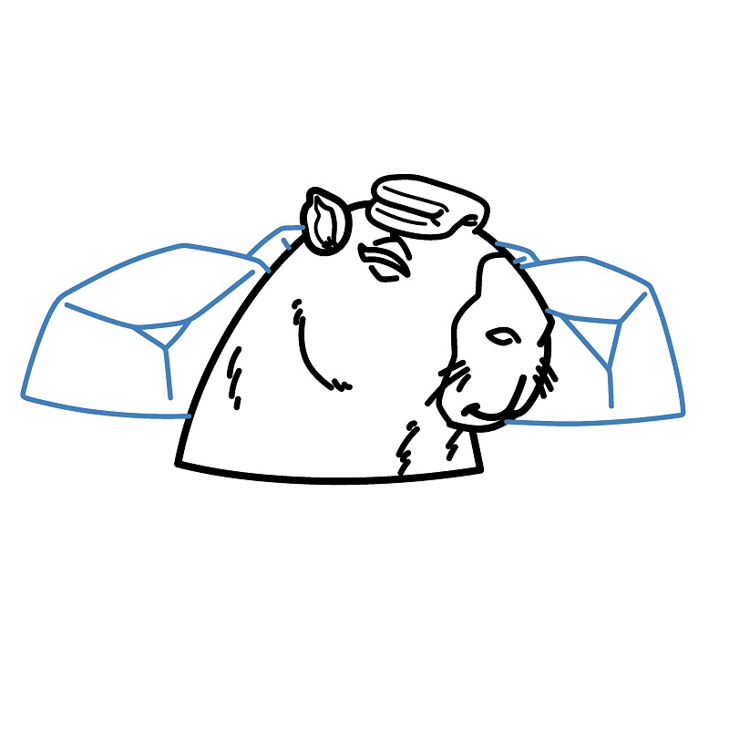 Hướng dẫn vẽ Capybara đang ngâm nước. - Bước 7