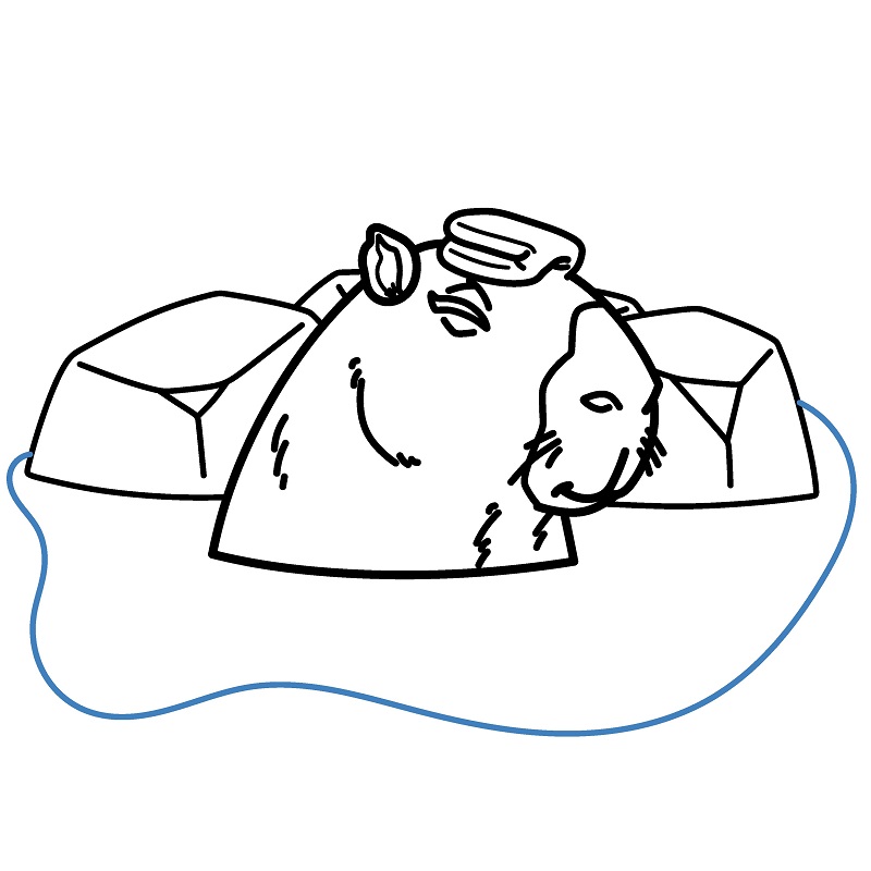 Hướng dẫn vẽ Capybara đang ngâm nước. - Bước 8