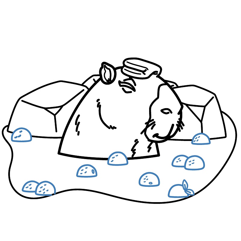 Hướng dẫn vẽ Capybara đang ngâm nước. - Bước 9