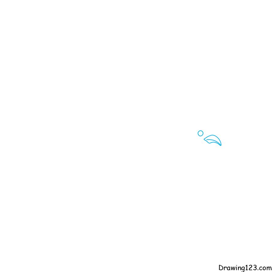 Hướng dẫn vẽ chim bồ câu - Bước 1