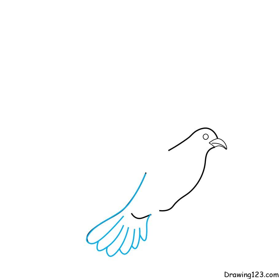Hướng dẫn vẽ chim bồ câu - Bước 3
