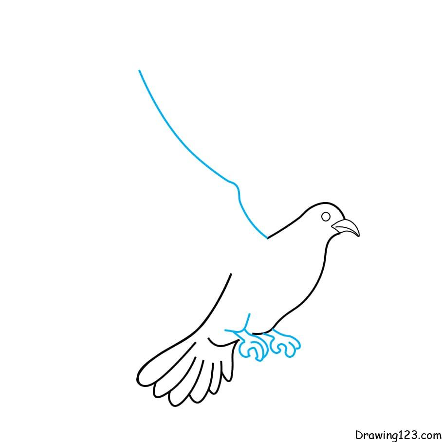 Hướng dẫn vẽ chim bồ câu - Bước 4