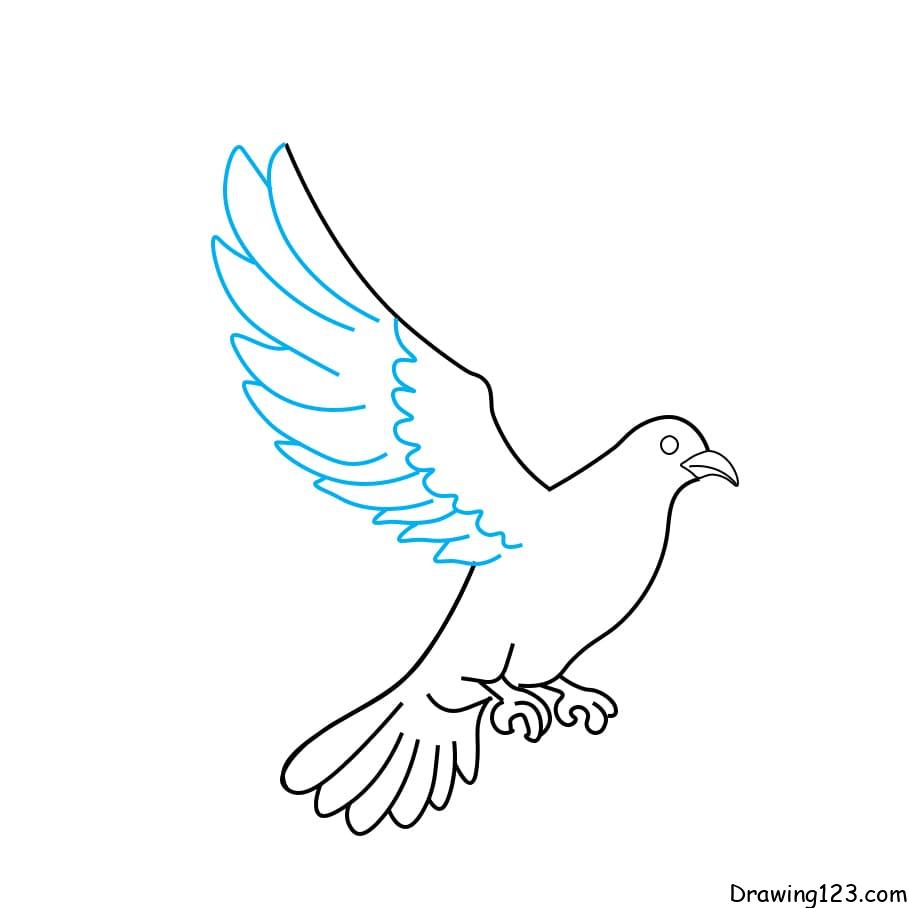 Hướng dẫn vẽ chim bồ câu - Bước 5