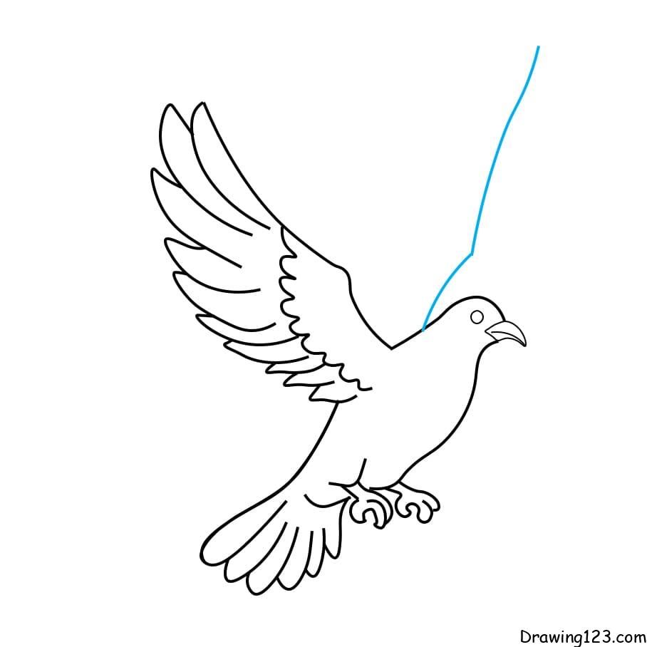 Hướng dẫn vẽ chim bồ câu - Bước 6