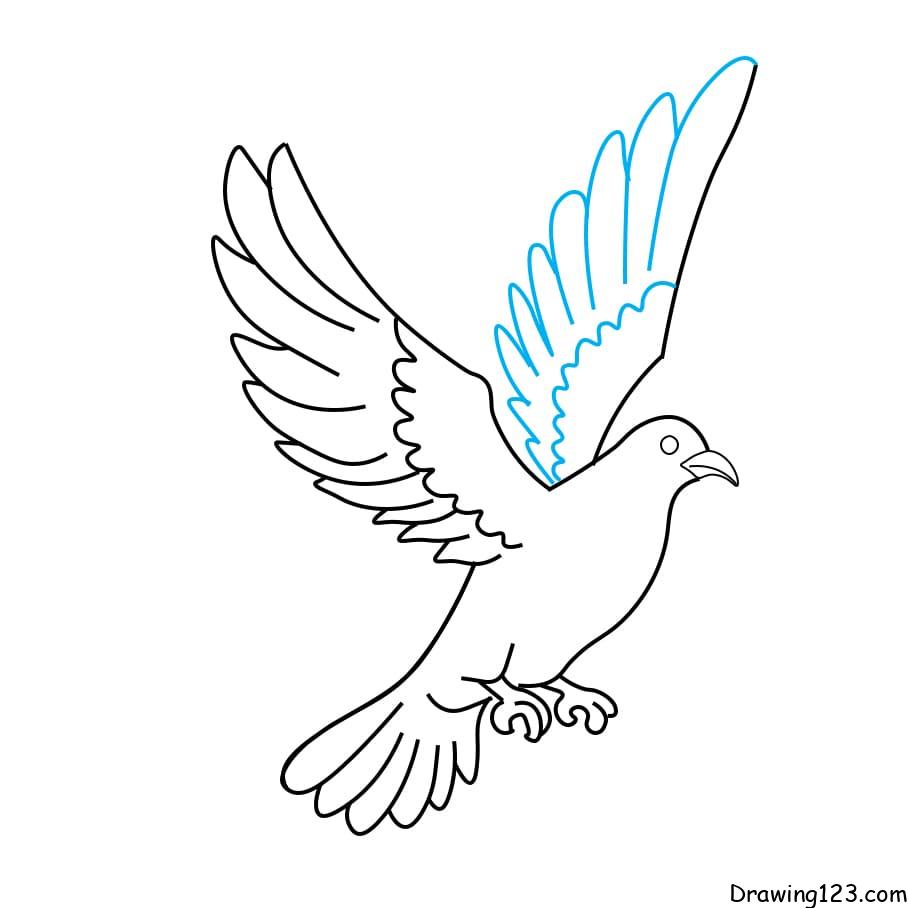 Hướng dẫn vẽ chim bồ câu - Bước 7