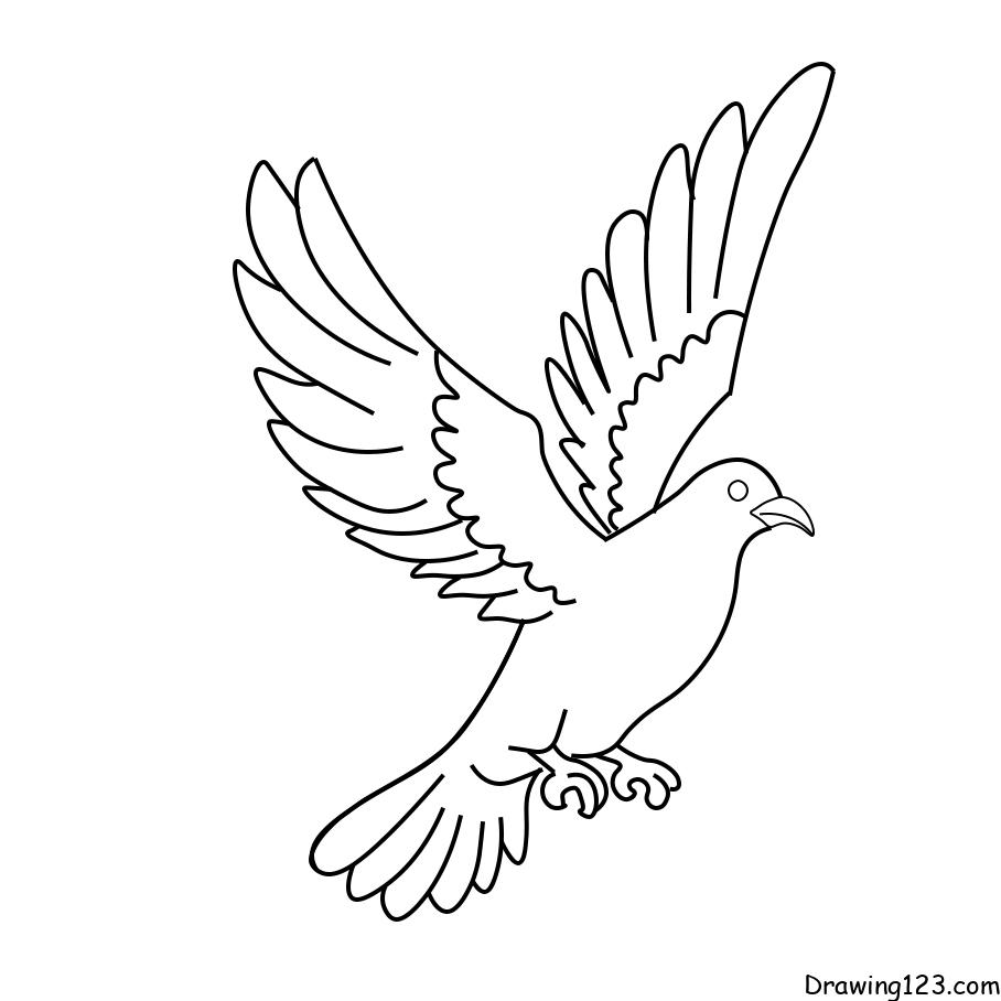 Hướng dẫn vẽ chim bồ câu