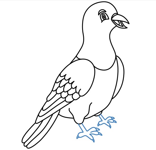 Hướng dẫn vẽ chú chim bồ câu vui vẻ. - Bước 10