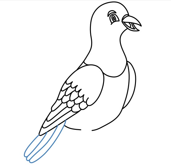 Hướng dẫn vẽ chú chim bồ câu vui vẻ. - Bước 8