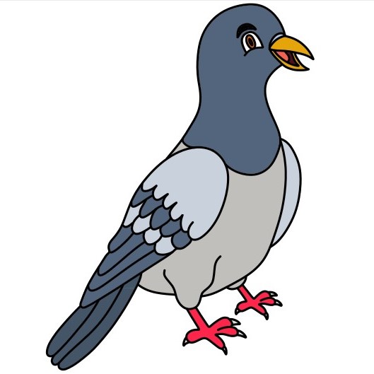 Hướng dẫn vẽ chú chim bồ câu vui vẻ.