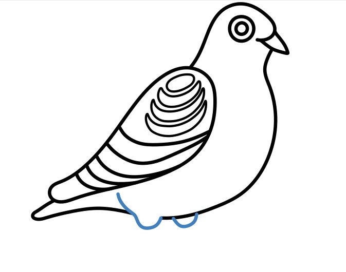 Hướng dẫn vẽ chú chim bồ câu lớn. - Bước 6