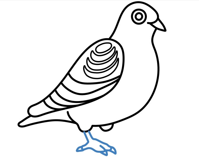 Hướng dẫn vẽ chú chim bồ câu lớn. - Bước 7