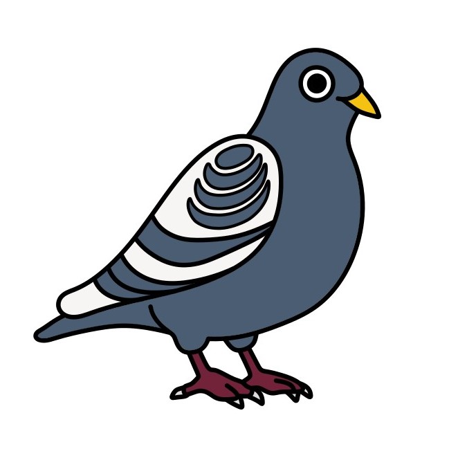 Hướng dẫn vẽ chú chim bồ câu lớn.