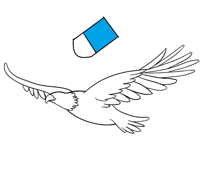 Hướng dẫn cách vẽ chim đại bàng (chúa tể bầu trời) đang bay lượn thật đẹp và đơn giản cho bé - Bước 7