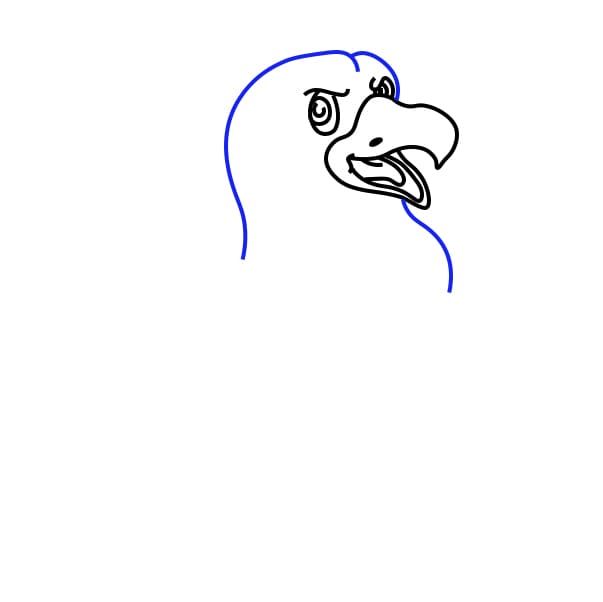 Hướng dẫn vẽ chim đại bàng - Bước 3