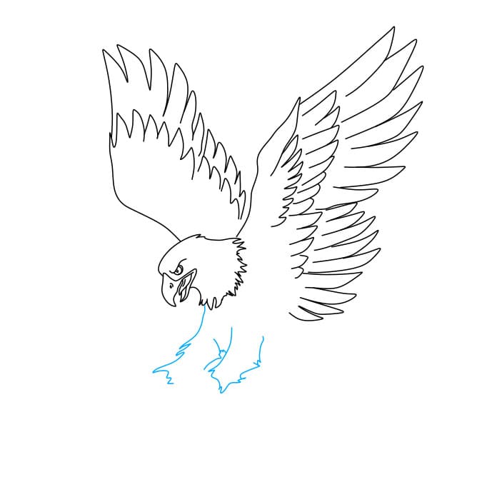 Hướng dẫn cách vẽ chim đại bàng (chúa tể bầu trời) đang săn mồi - Bước 5