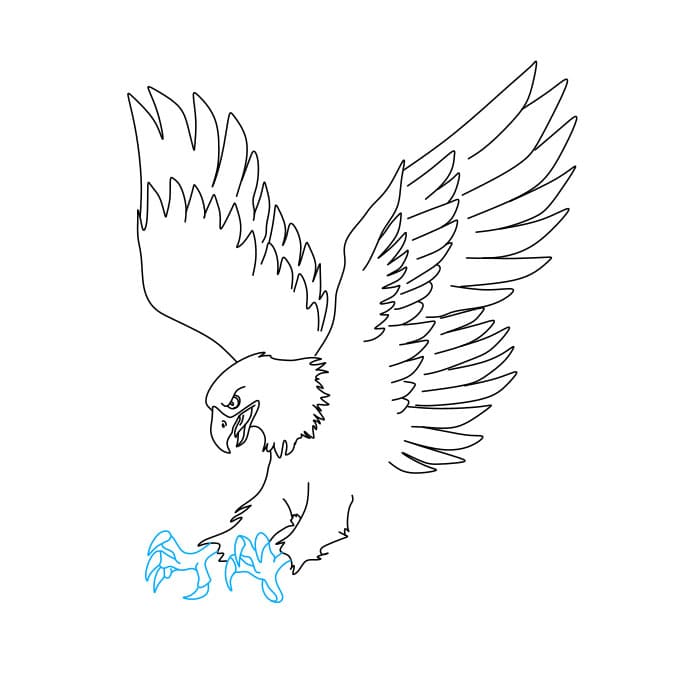 Hướng dẫn cách vẽ chim đại bàng (chúa tể bầu trời) đang săn mồi - Bước 6