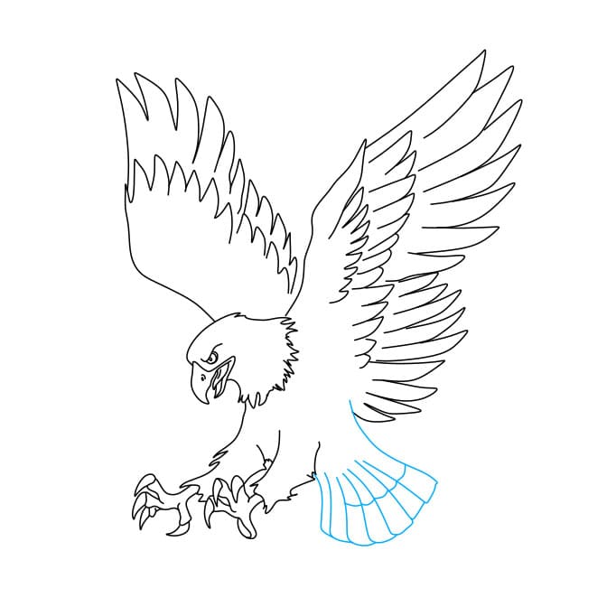 Hướng dẫn cách vẽ chim đại bàng (chúa tể bầu trời) đang săn mồi - Bước 7