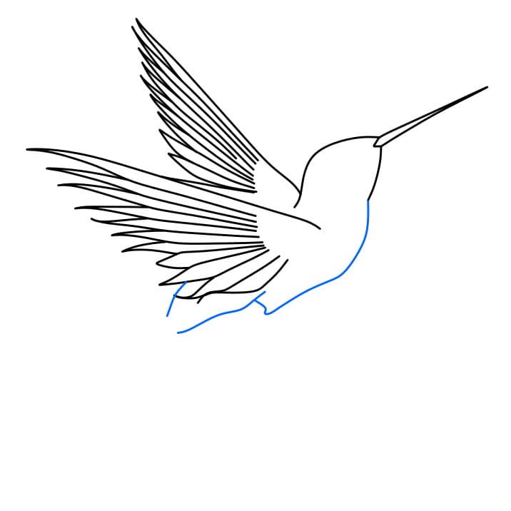 Hướng dẫn cách vẽ chim ruồi đơn giản và đẹp cho bé - Bước 3