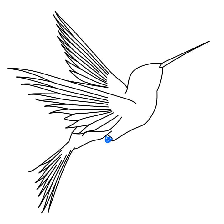 Hướng dẫn cách vẽ chim ruồi đơn giản và đẹp cho bé - Bước 5