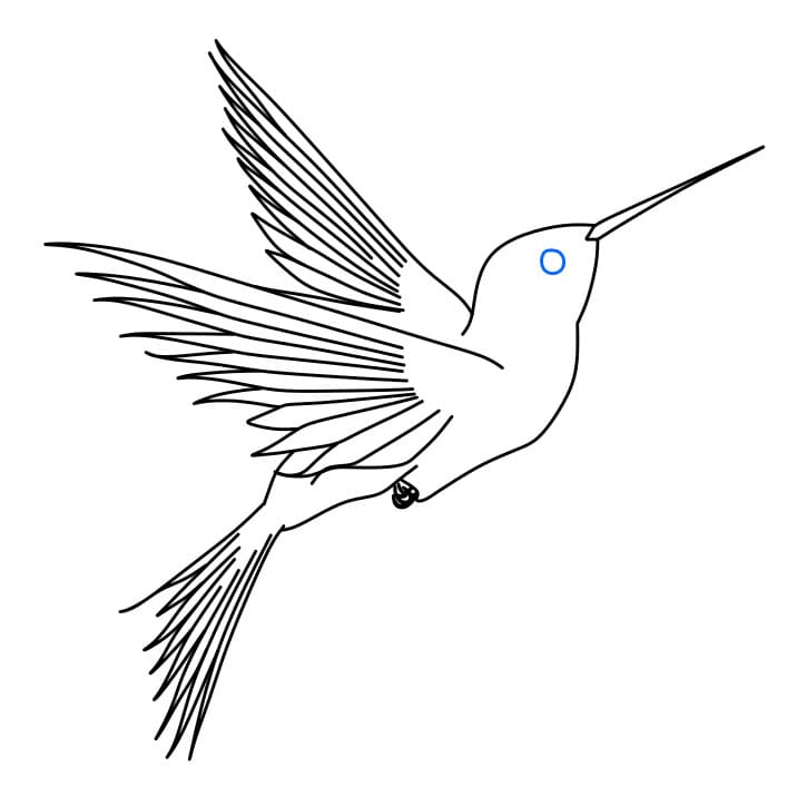 Hướng dẫn cách vẽ chim ruồi đơn giản và đẹp cho bé - Bước 6