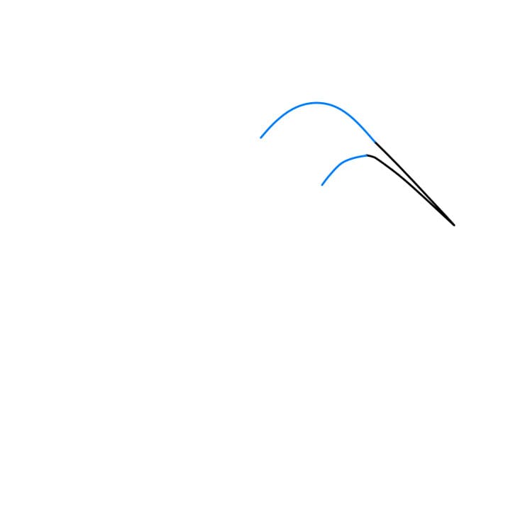 Hướng dẫn vẽ dễ dàng : chim ruồi - Bước 2