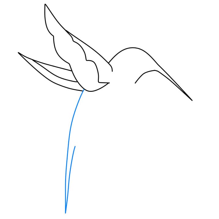 Hướng dẫn vẽ dễ dàng : chim ruồi - Bước 4