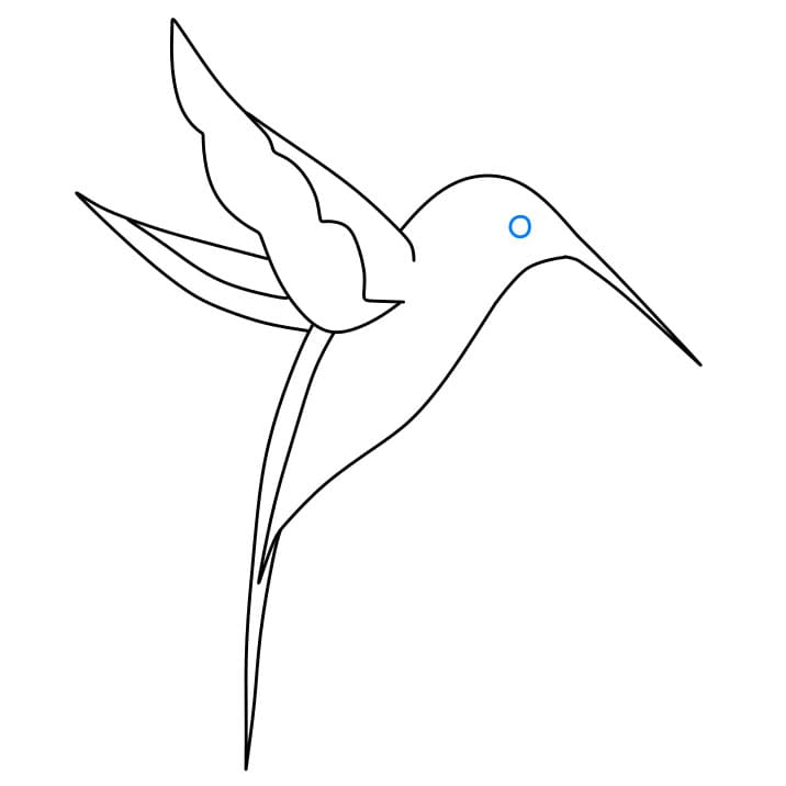 Hướng dẫn vẽ dễ dàng : chim ruồi - Bước 5