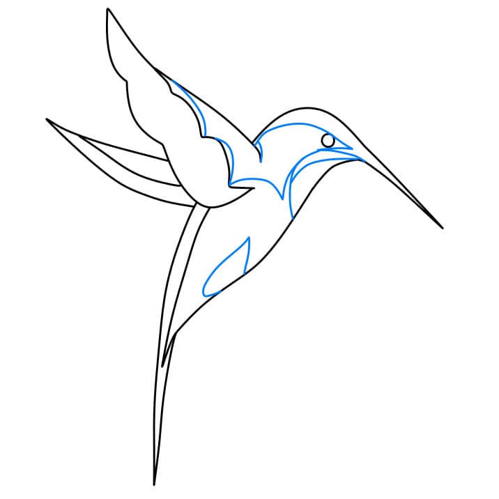 Hướng dẫn vẽ dễ dàng : chim ruồi - Bước 6