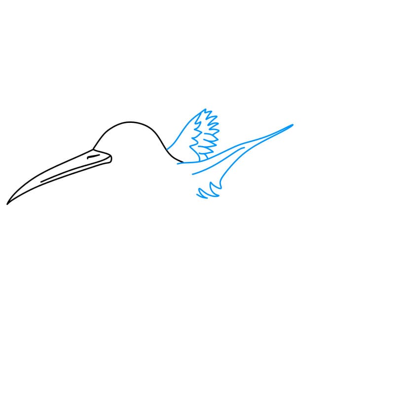 Hướng dẫn cách vẽ chim ruồi đang bay cực đẹp - Bước 3